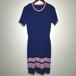Biana 100% Merino Wool Blue Pink Dress Size 10